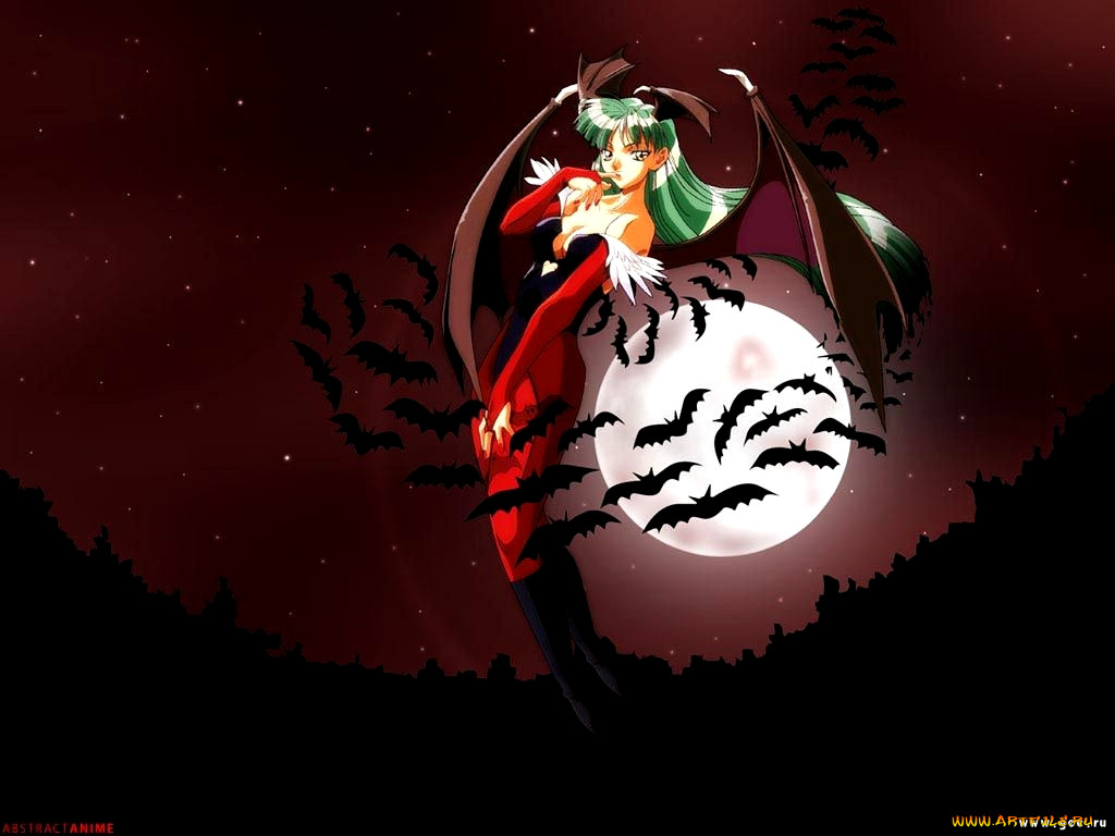 , night, warriors